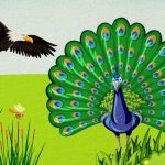 The Story of Peacock